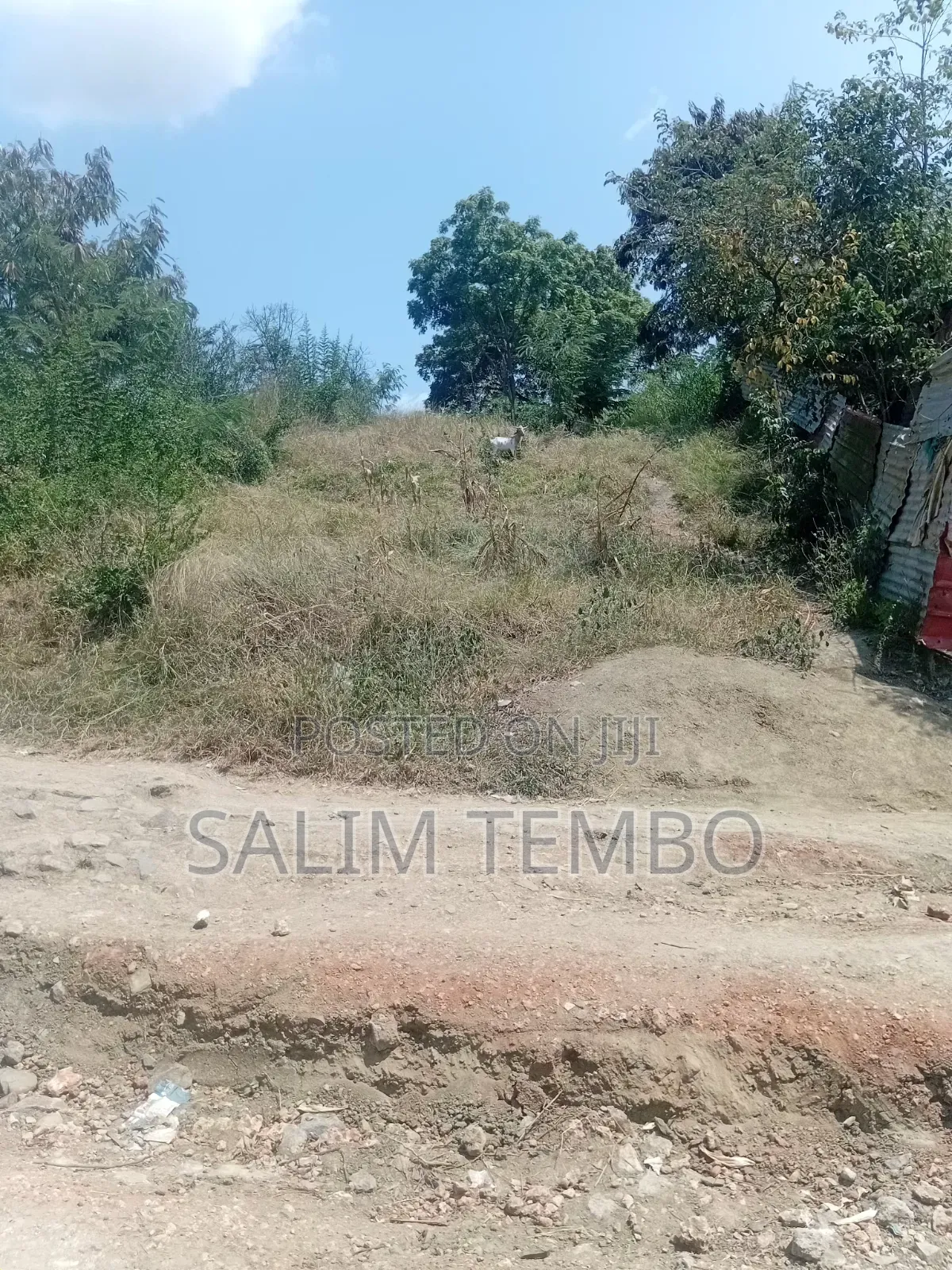Plonts and Land for Sale