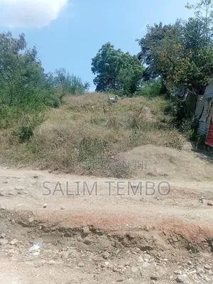 Plonts and Land for Sale