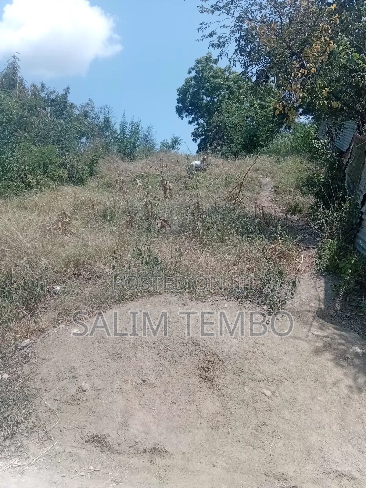 Plonts and Land for Sale