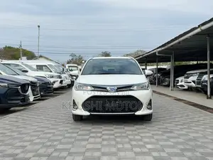 Toyota Corolla Fielder 2019 White