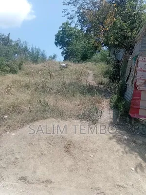 Plonts and Land for Sale