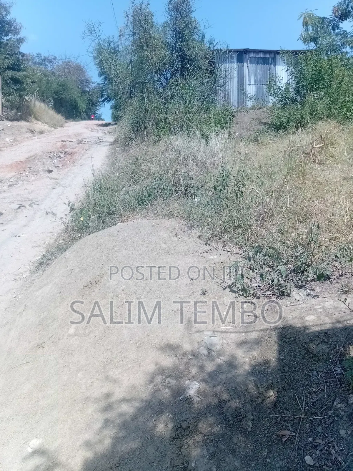 Plonts and Land for Sale