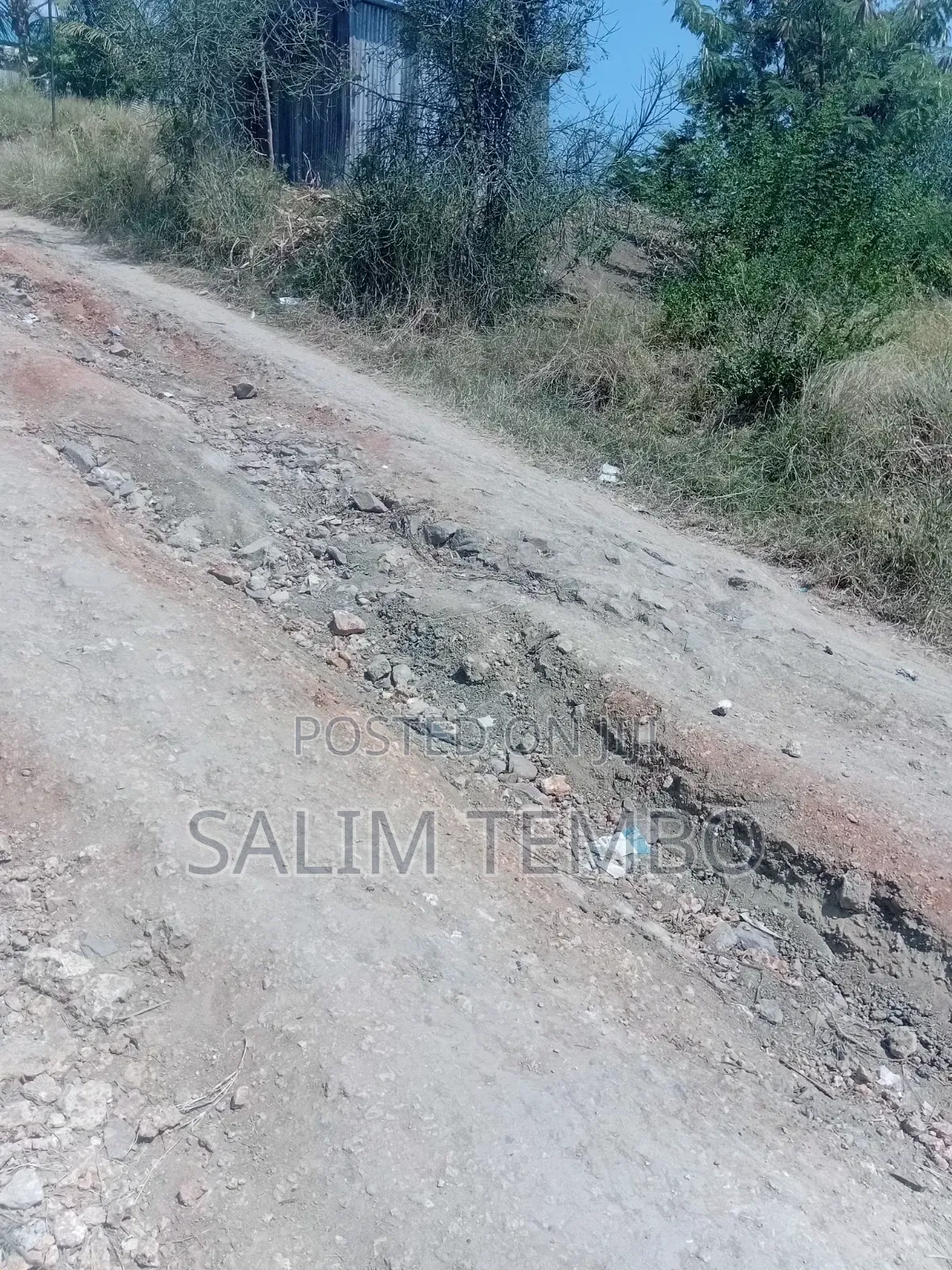 Plonts and Land for Sale