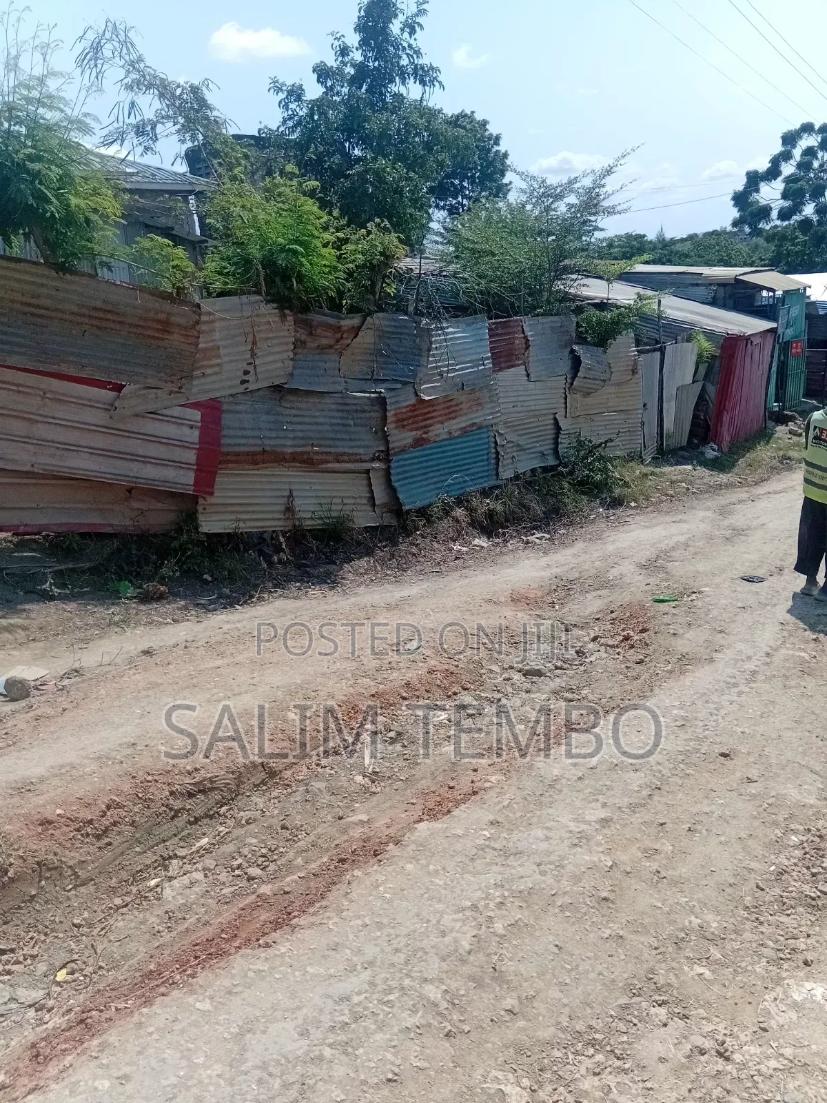 Plonts and Land for Sale