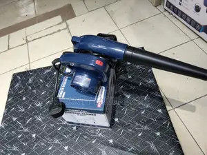 Air Blower 700watts