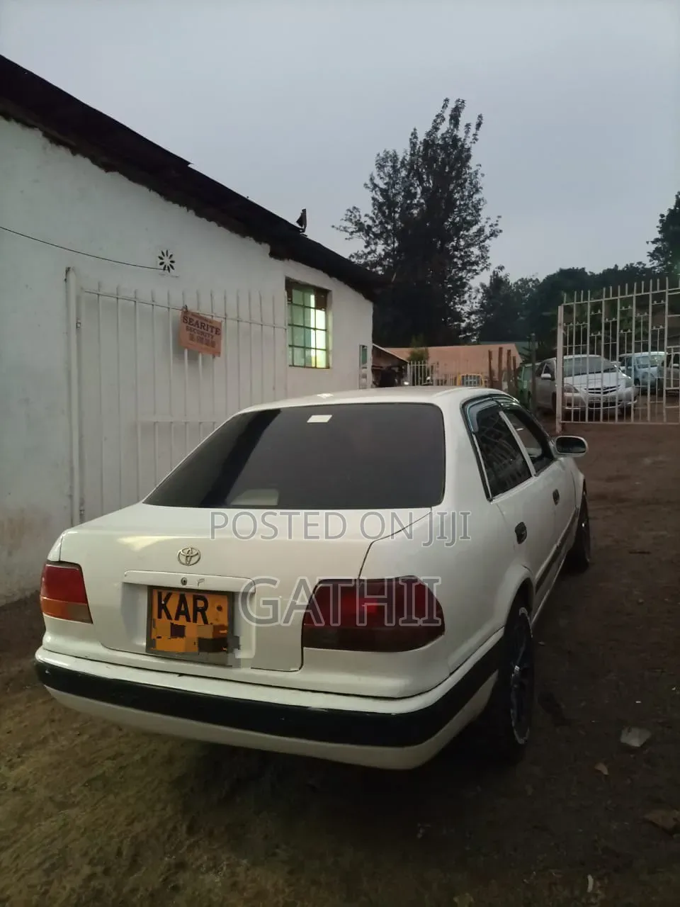 Toyota Corolla 1998 White