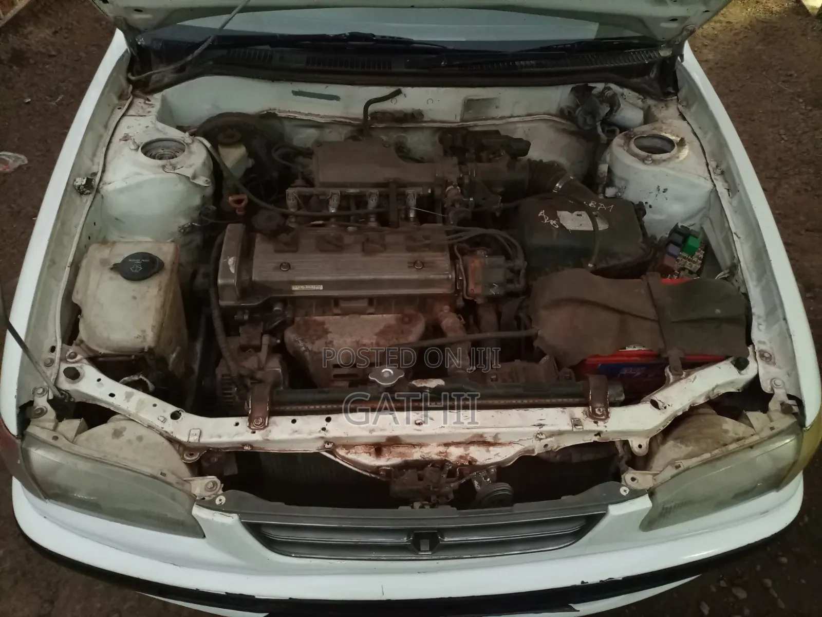 Toyota Corolla 1998 White