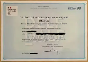 Private French Tutor