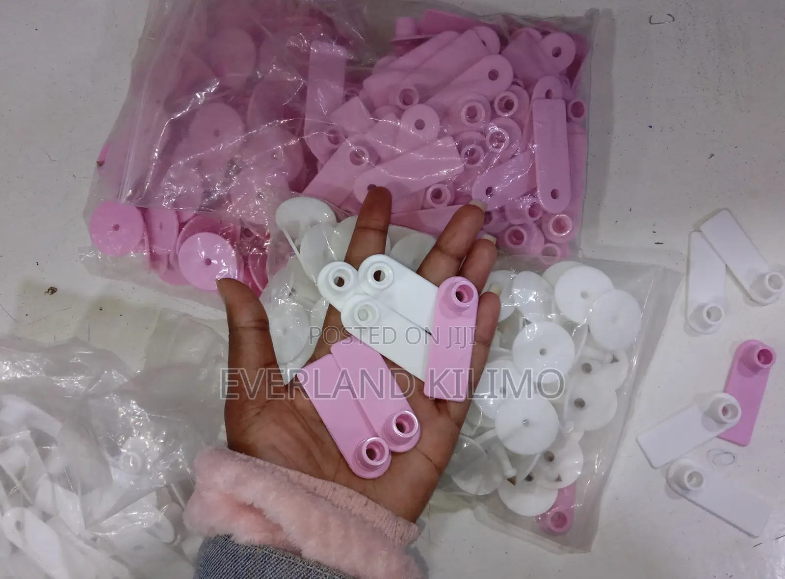 Plastic Livestock Ear Tags for Goats - Plain