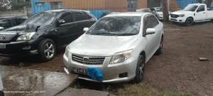 Toyota Axio 2009 Silver