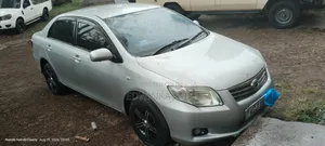 Toyota Axio 2009 Silver