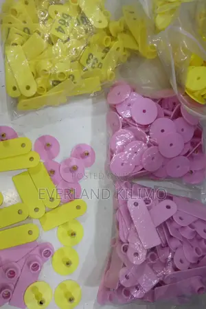 Plain Identification Ear Tags 100 PCS