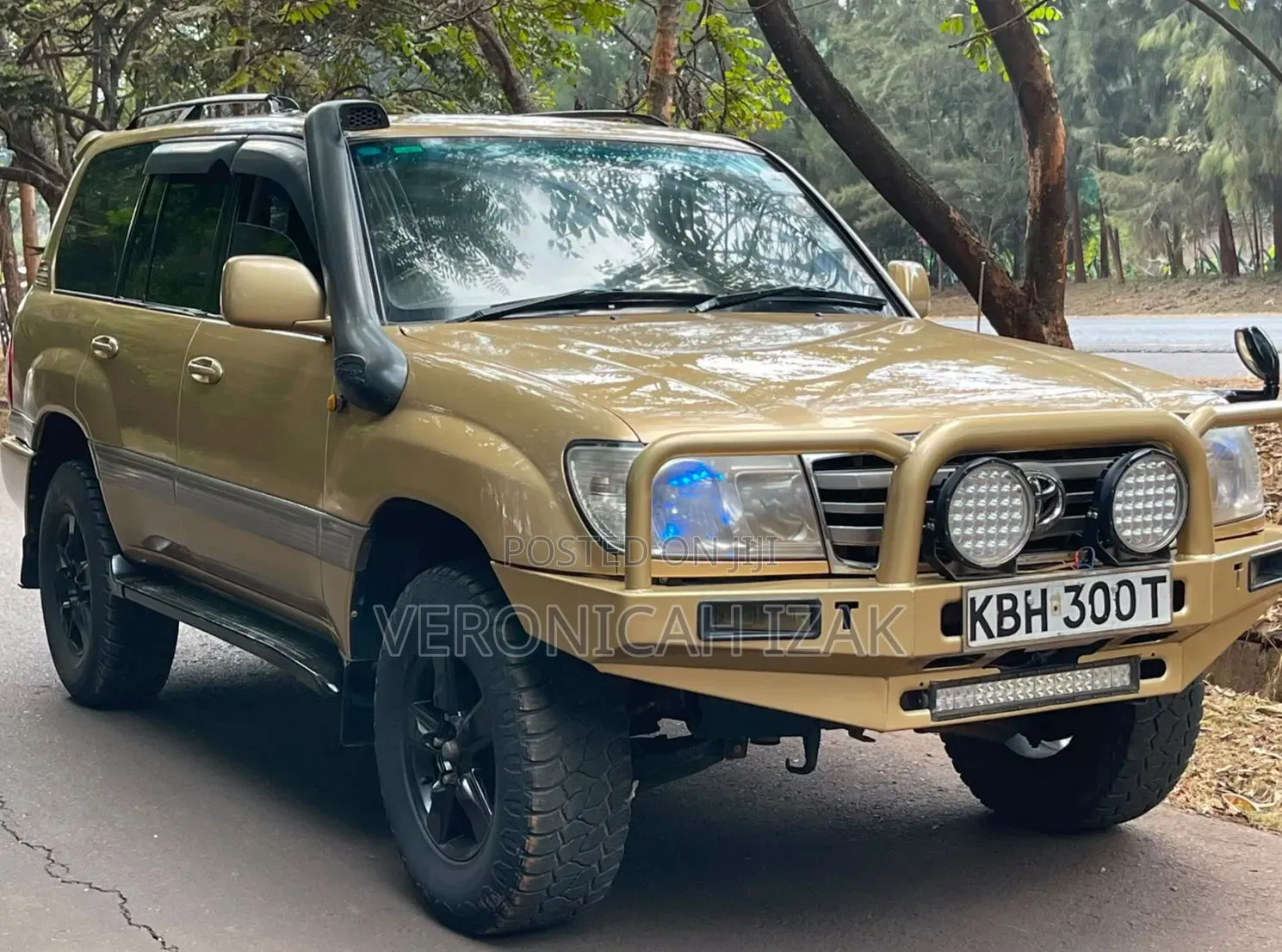 Toyota Land Cruiser 2003 Gold