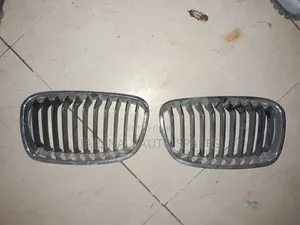 BMW Front Kidney Grilles