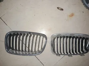 BMW Front Kidney Grilles