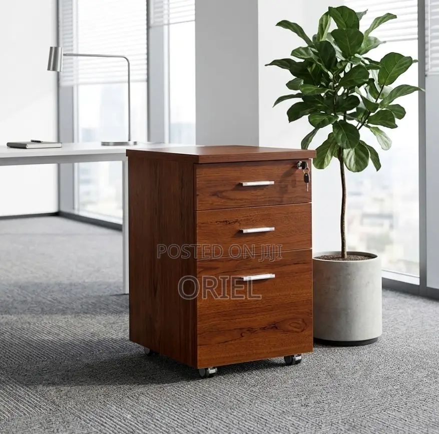 Office Cabinet : Wood Office Storage Cabinet With 3 Drawers