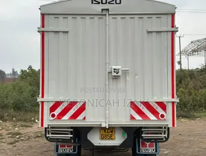 Isuzu NPR 2019