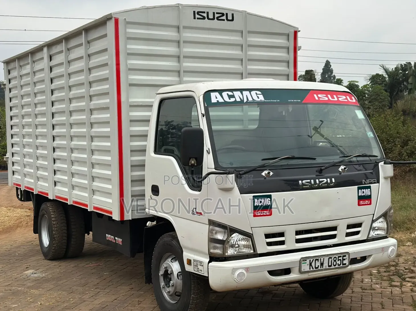 Isuzu NPR 2019