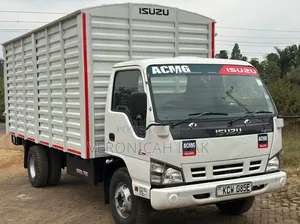 Isuzu NPR 2019