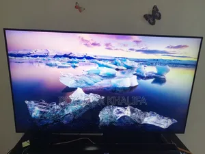 Samsung 55 Inch