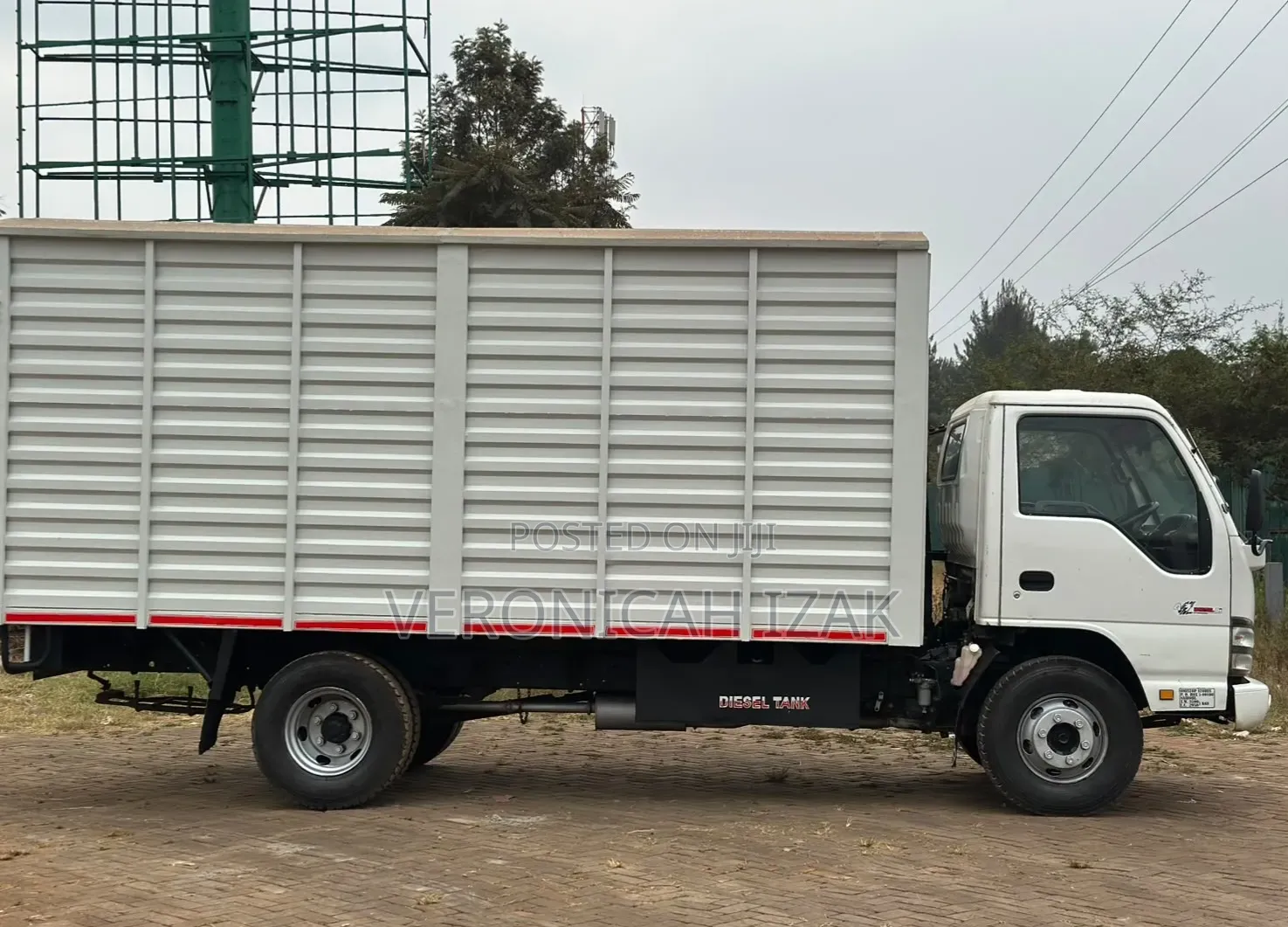 Isuzu NPR 2019