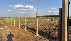 Fencing Services Machakos | Makueni | Kitui | Kangundo | Athi River