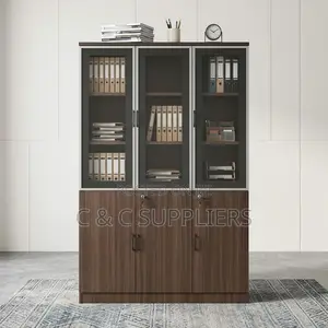 Executive 3-Doors Document Cabinet.