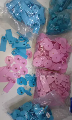 Blue and Pink Colored Ear Slim Tags for Sheep