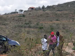 Affordable Plots for Sale