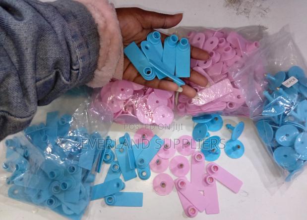 Plain/Blank Blue and Pink Slim Tags - main view