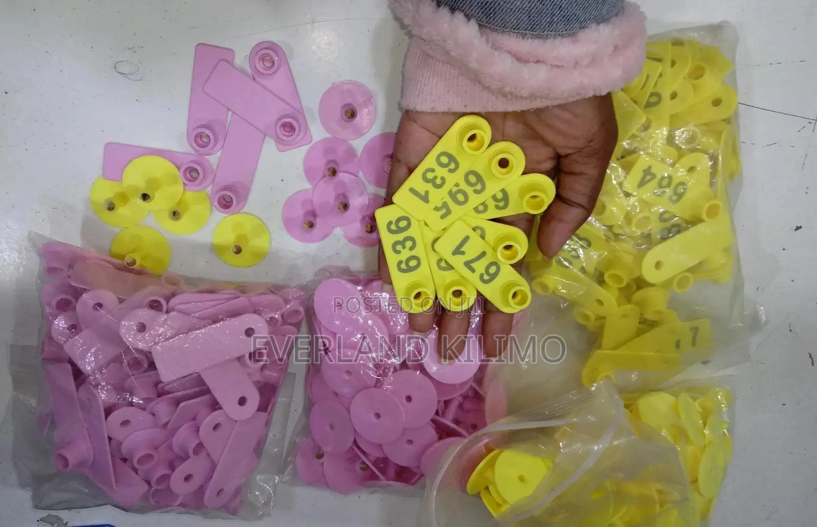 Numbered Pigs Slim Tags for Identification - A Pack