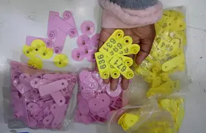 Numbered Pigs Slim Tags for Identification - A Pack