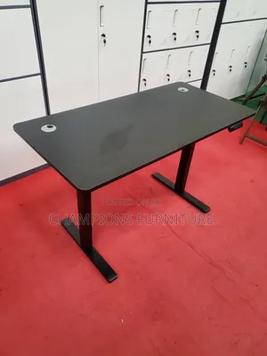 1.2M Egroelevate Motorised Standing Desk