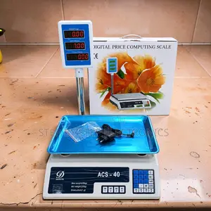 Factory Direct Prices ACS40 40Kgs Digital Weighing Scale With Arm