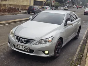 Toyota Mark X 2010 Silver