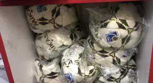 Mikasa Fifa Quality