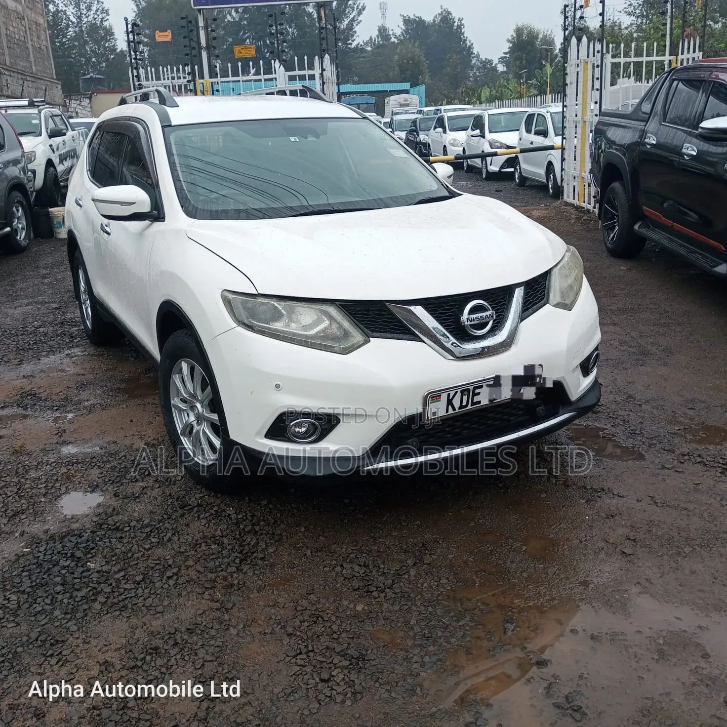Nissan X-Trail 2014 White