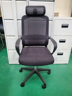Egobreeze Ergonomic Office Chair