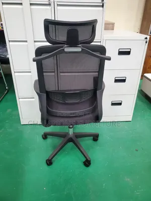 Egobreeze Ergonomic Office Chair