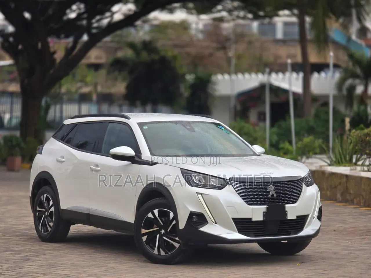 Peugeot 2008 2021 White