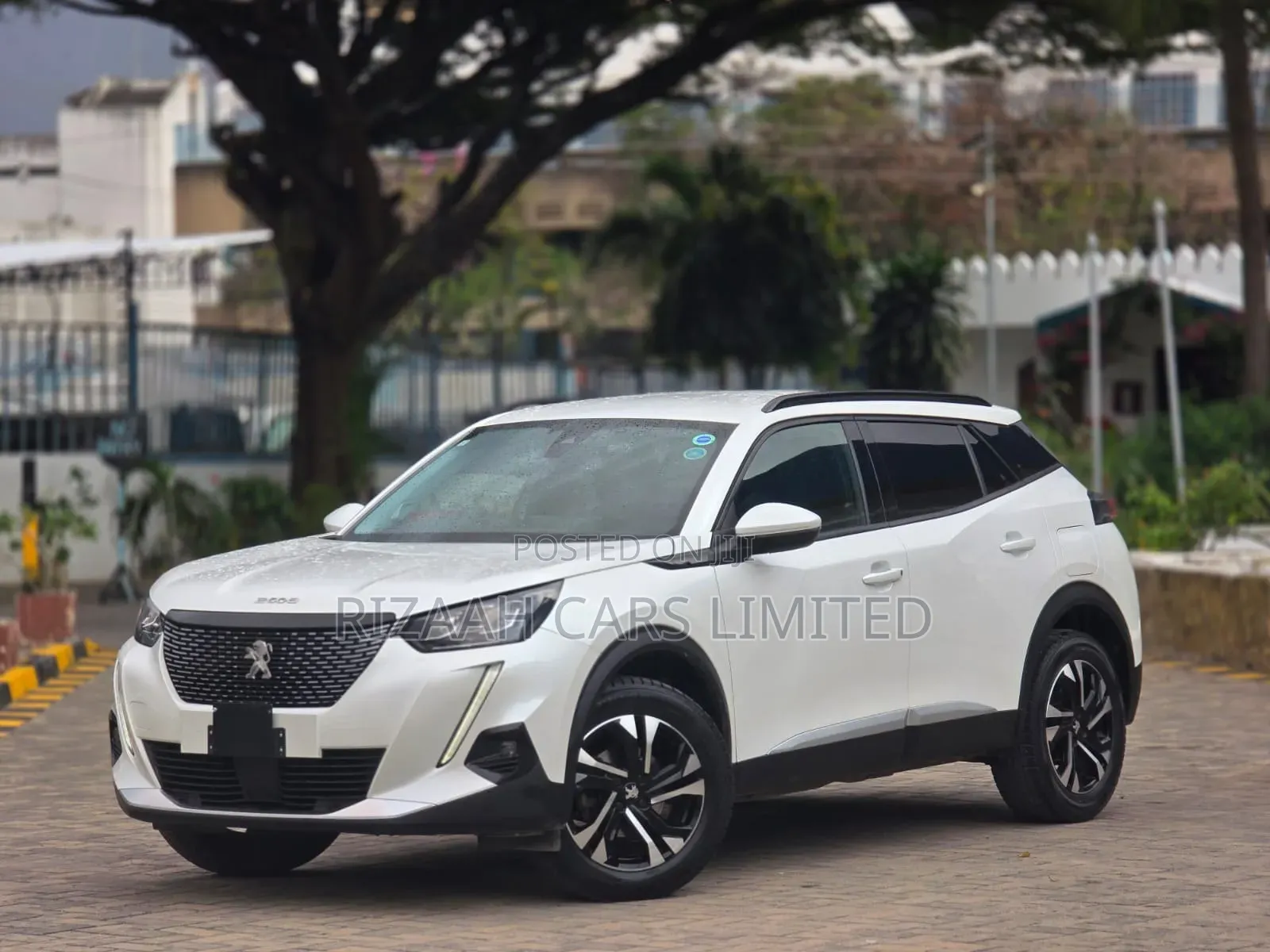 Peugeot 2008 2021 White