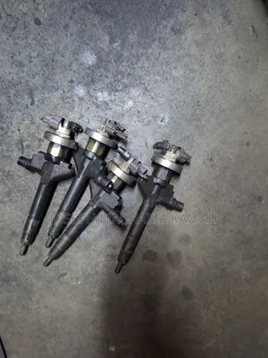 We Sell Nissan Vannet Rf8 and Rf6 Nozzles
