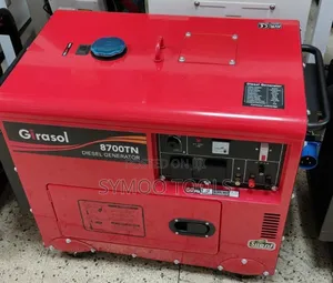 Affordable Diesel Generator 8700TN