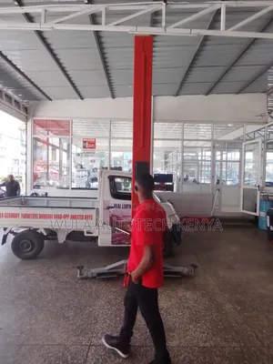 Robust Two Column Design Heavy Duty 2post Carlift Sunshine Italy