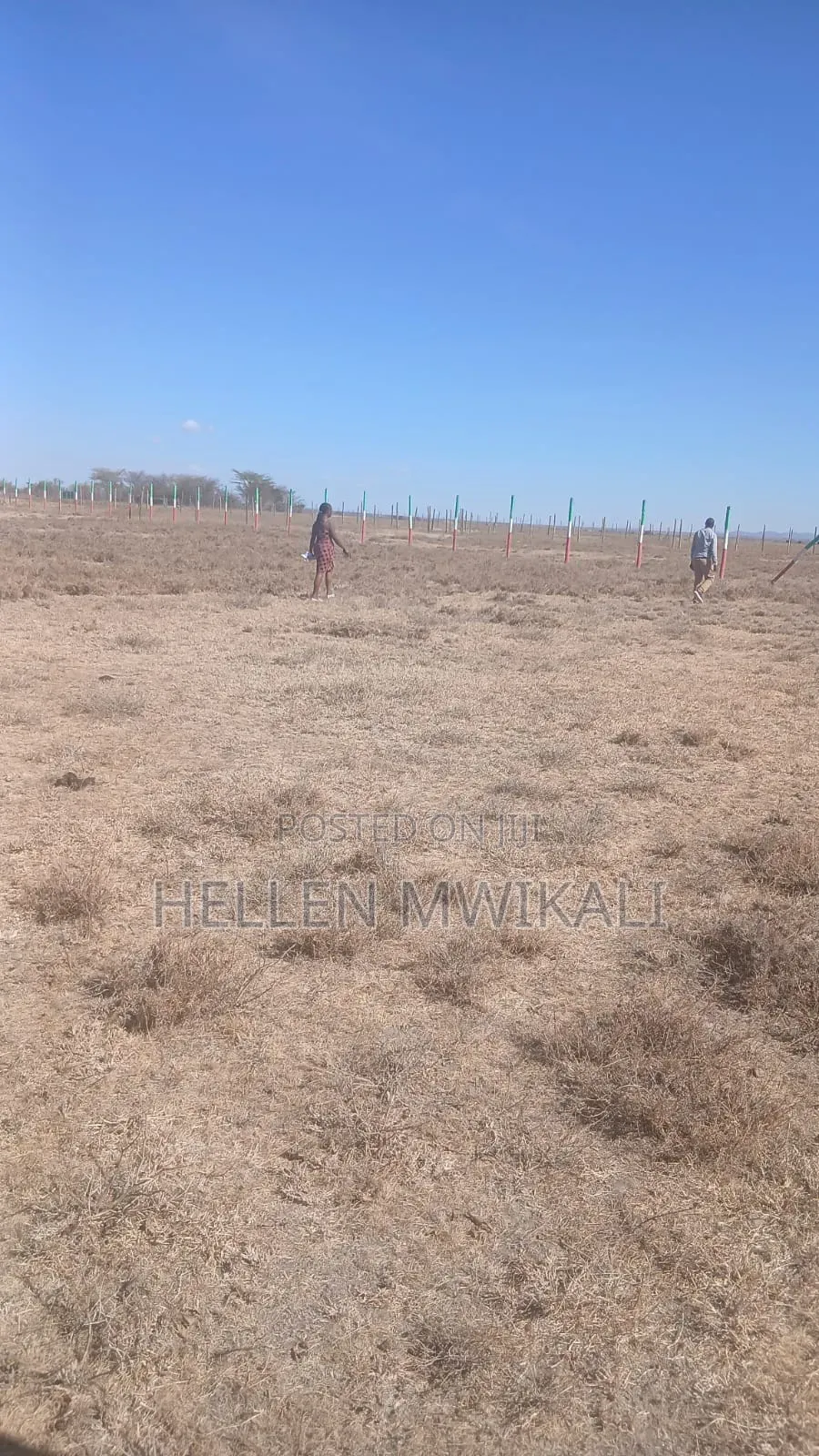 Plots for Sale