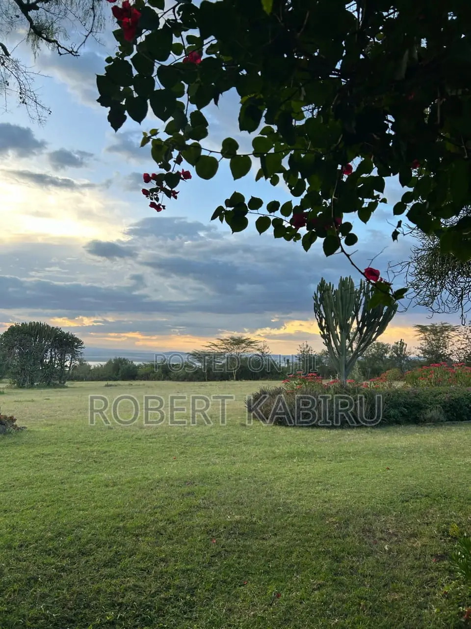 Land for Sale 10 Acres Facing Lake Elementaita