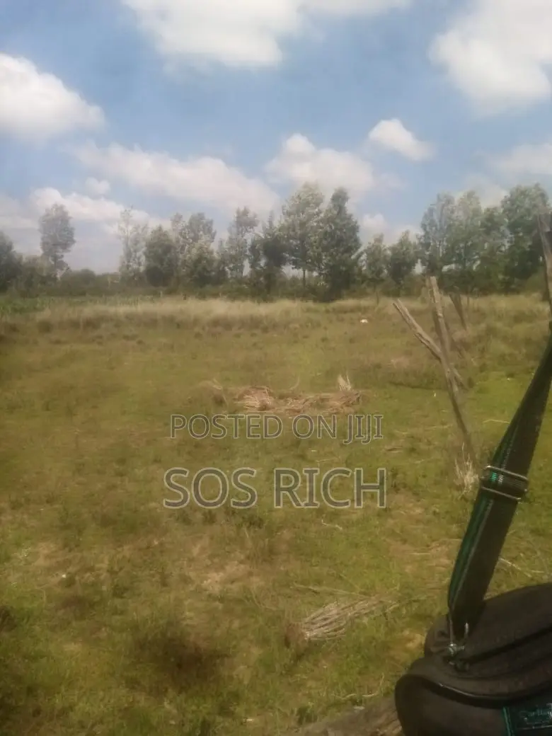 50by100 Plot in Kieni With Ready in Tittle Deed