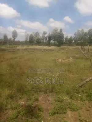 50by100 Plot in Kieni With Ready in Tittle Deed