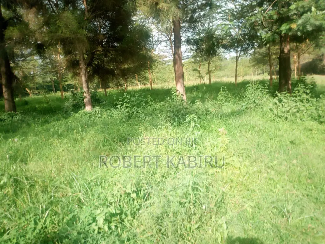 20 Acres Kendogo Near Mt Longonot