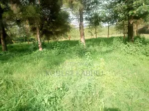 20 Acres Kendogo Near Mt Longonot